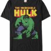 credible hulk t shirt