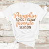 pumpkin spice t shirt