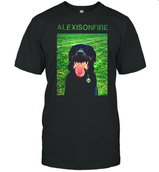 alexisonfire t shirt