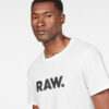 raw tshirt