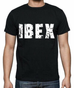 ibex t shirt