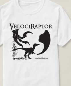 velociraptor t shirt